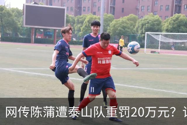 网传陈蒲遭泰山队重罚20万元？记者：这一消息实属无中生有