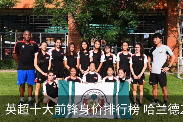 英超十大前锋身价排行榜 哈兰德2亿欧遥遥领先